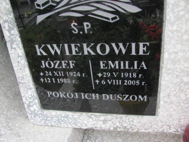 Stanisław Kwiek Jastrzębia Tarnowska - Grobonet - Wyszukiwarka osób pochowanych