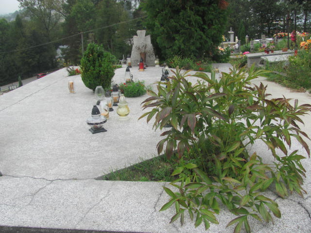 Józef Kuropatwa Jastrzębia Tarnowska - Grobonet - Wyszukiwarka osób pochowanych